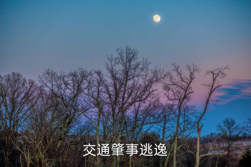 交通肇事逃逸