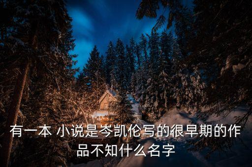 有一本 小說是岑凱倫寫的很早期的作品不知什么名字