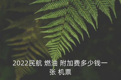 2022民航 燃油 附加費(fèi)多少錢一張 機(jī)票