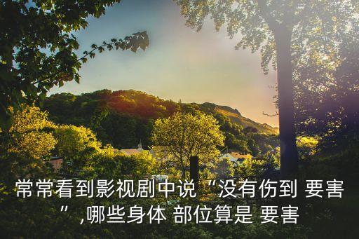 要害部位