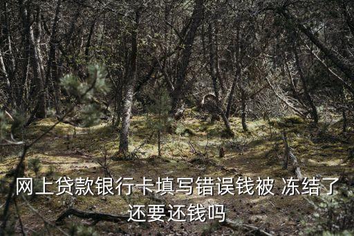 網(wǎng)上貸款銀行卡填寫(xiě)錯(cuò)誤錢(qián)被 凍結(jié)了還要還錢(qián)嗎