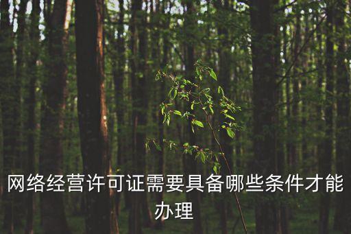 網(wǎng)絡(luò)經(jīng)營許可證，網(wǎng)絡(luò)經(jīng)營許可證