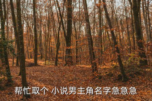 幫忙取個(gè) 小說(shuō)男主角名字急急急