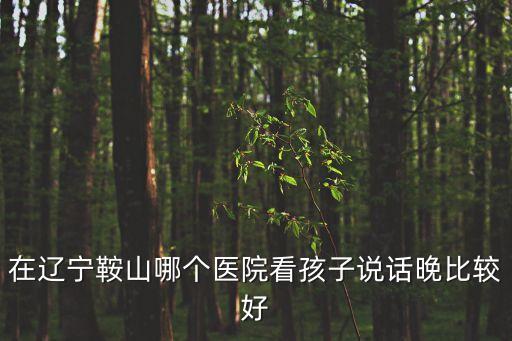 鞍山金普醫(yī)院，在遼寧鞍山哪個(gè)醫(yī)院看孩子說話晚比較好