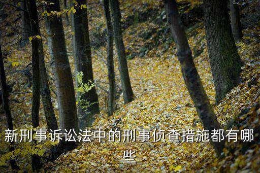 新刑事訴訟法，新刑事訴訟法中的刑事偵查措施都有哪些