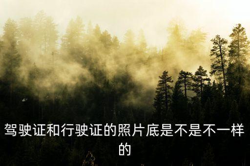 駕駛證和行駛證的照片底是不是不一樣的