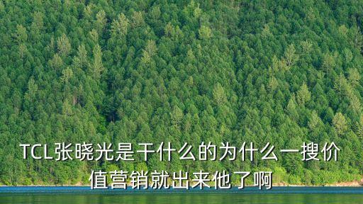 張曉光，脫身張曉光到底是叛變了還是本來就是臥底