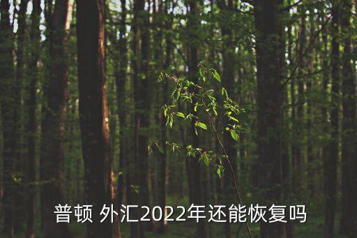  普頓 外匯2022年還能恢復(fù)嗎