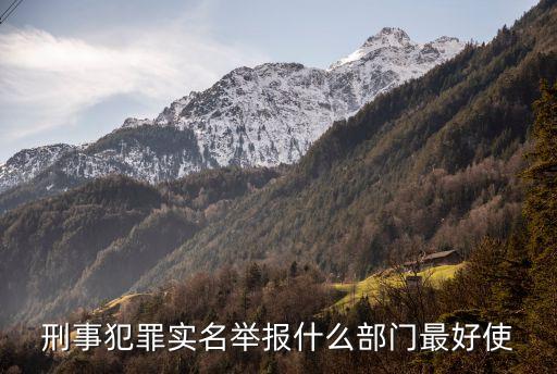 實(shí)名舉報(bào)，刑事犯罪實(shí)名舉報(bào)什么部門(mén)最好使