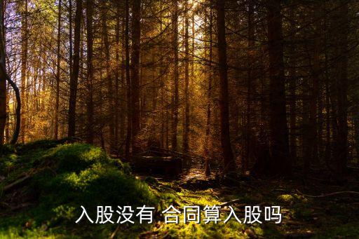 投資不簽合同算什么法律關(guān)系
