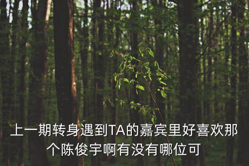 陳俊宇，陳俊宇的人物關(guān)系