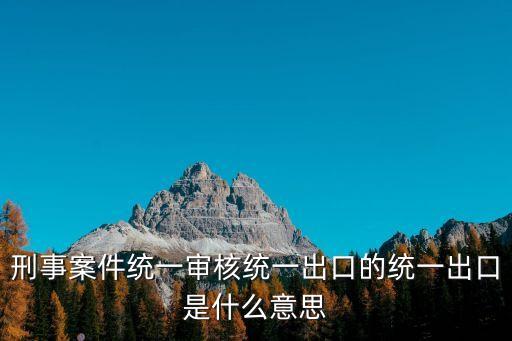 刑事案件統(tǒng)一審核統(tǒng)一出口的統(tǒng)一出口是什么意思