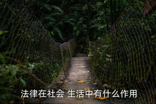 生活中的法律
