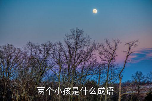 兩個小孩，兩個孩子 好處 壞處