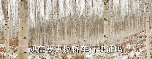 現(xiàn)在要更換轎車行駛證嗎