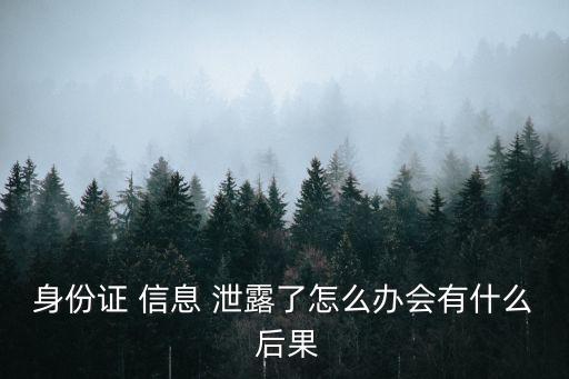 個(gè)人信息泄露后果本人承擔(dān)嗎,由于本人個(gè)人信息泄露
