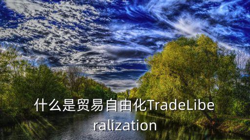 貿(mào)易自由化，貿(mào)易自由化名詞解釋