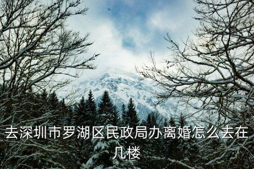 深圳離婚預(yù)約，辦離婚需要什么材料