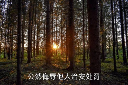 侮罵，公然侮辱他人治安處罰