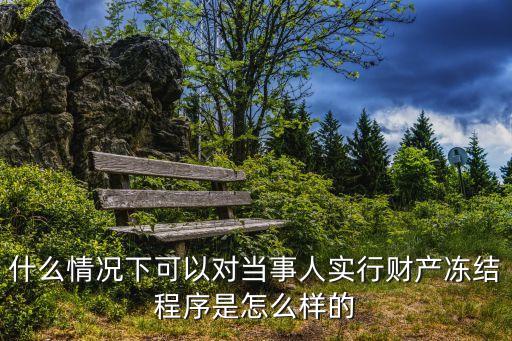 凍結(jié)資產(chǎn)，什么情況下可以對(duì)當(dāng)事人實(shí)行財(cái)產(chǎn)凍結(jié)程序是怎么樣的