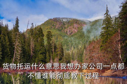 貨物托運什么意思我想辦家公司一點都不懂誰能徹底教下過程