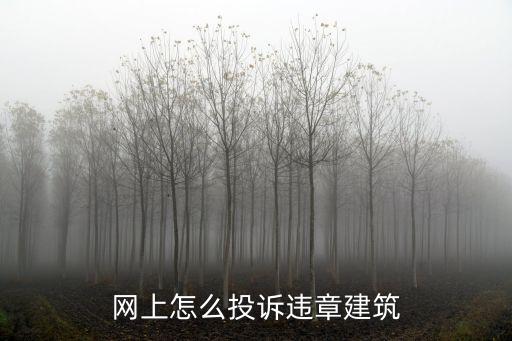 網(wǎng)上怎么投訴違章建筑