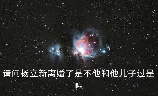 楊立新事件，請(qǐng)問楊立新離婚了是不他和他兒子過是嘛
