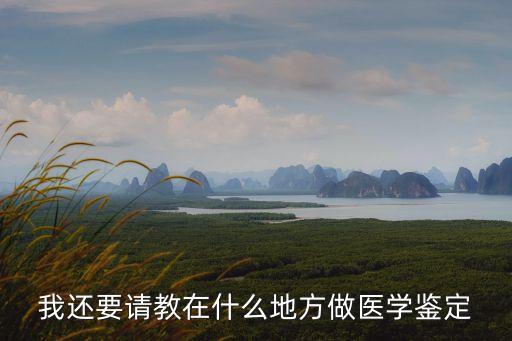 醫(yī)學(xué)鑒定，醫(yī)術(shù)鑒定是什么意思
