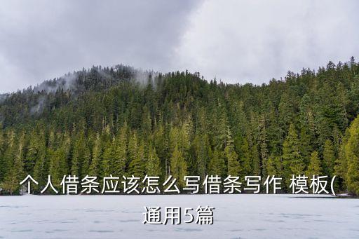 個(gè)人借條應(yīng)該怎么寫(xiě)借條寫(xiě)作 模板(通用5篇