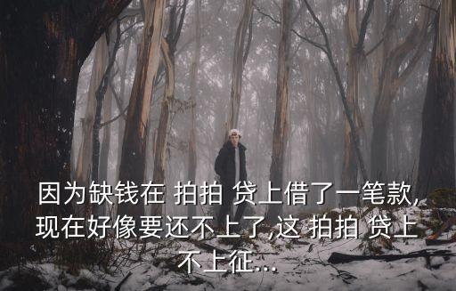 因為缺錢在 拍拍 貸上借了一筆款,現(xiàn)在好像要還不上了,這 拍拍 貸上不上征...