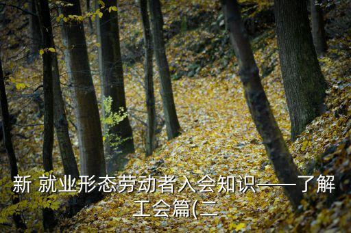 關于就業(yè)的法律小常識