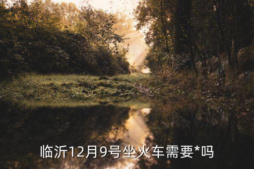 臨沂12月9號(hào)坐火車需要*嗎