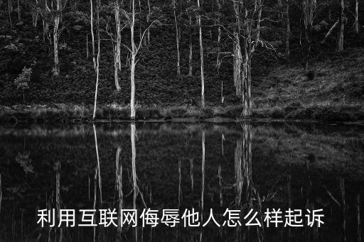 利用互聯(lián)網(wǎng)侮辱他人怎么樣起訴