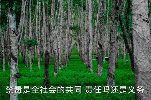 禁毒是全社會的共同 責(zé)任嗎還是義務(wù)