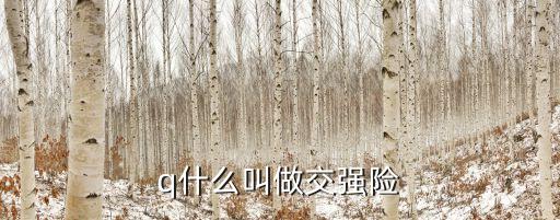 汽車交強(qiáng)險(xiǎn)，什么事交強(qiáng)險(xiǎn)