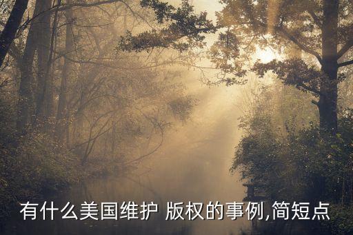 美國版權(quán)法