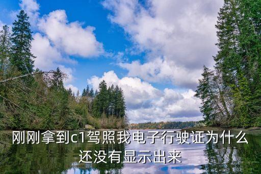 剛剛拿到c1駕照我電子行駛證為什么還沒(méi)有顯示出來(lái)