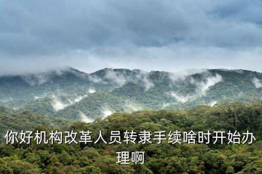 你好機(jī)構(gòu)改革人員轉(zhuǎn)隸手續(xù)啥時開始辦理啊