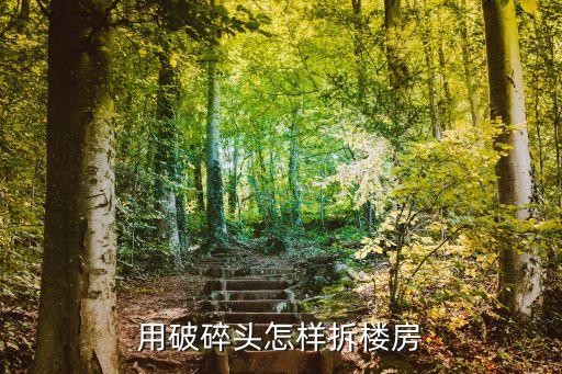 樓房拆除，合法拆除一棟違建樓房的程序或步驟是什么