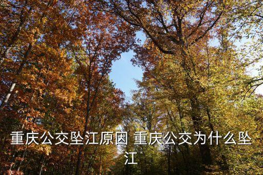 公交車墜江事件，重慶公交墜江原因 重慶公交為什么墜江