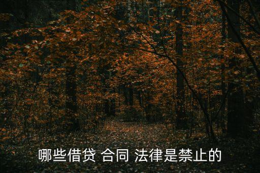 什么借款合同不受法律保護,借款合同簽字不按手印有法律保護嗎