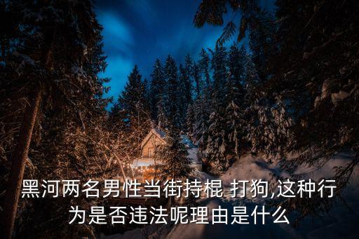 黑河兩名男性當(dāng)街持棍 打狗,這種行為是否違法呢理由是什么