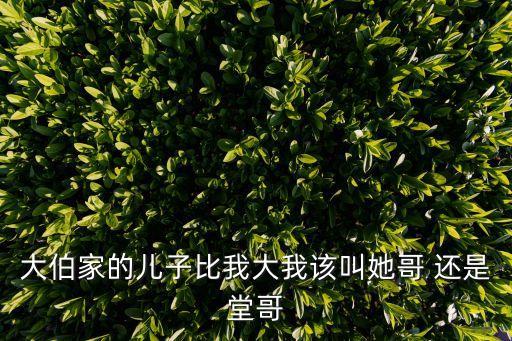 大伯家的兒子比我大我該叫她哥 還是堂哥
