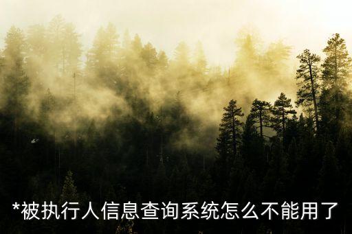 *被執(zhí)行人信息查詢系統(tǒng)怎么不能用了