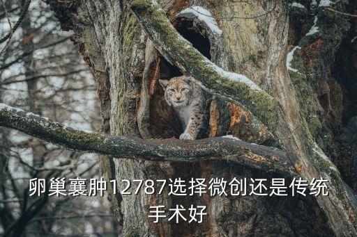 卵巢襄腫12787選擇微創(chuàng)還是傳統(tǒng)手術好
