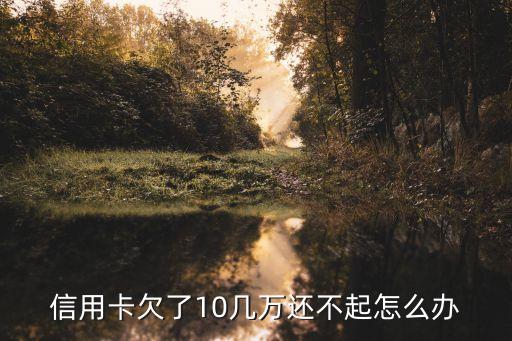 信用卡怎么申請停息掛賬，興業(yè)銀行信用卡未還可停息申請