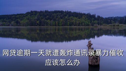 網(wǎng)貸逾期一天就遭轟炸通訊錄暴力催收應(yīng)該怎么辦