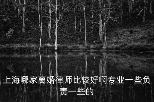 上海婚姻律師，上海最好的離婚律師是誰