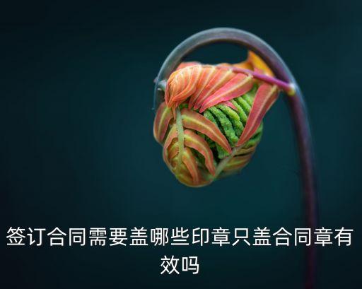 合同章，簽訂合同需要蓋哪些印章只蓋合同章有效嗎