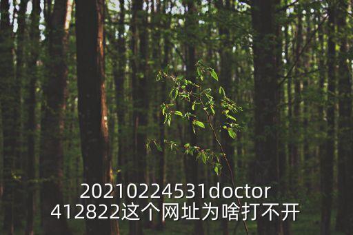 412822，20210224531doctor412822這個網(wǎng)址為啥打不開
